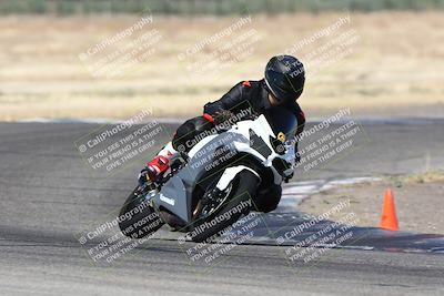 media/Jun-30-2024-TrackDaz (Sun) [[975061b0f9]]/Group C/Grapevine (940am)/